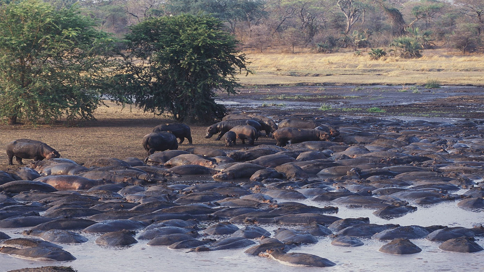 Tarangire National Park