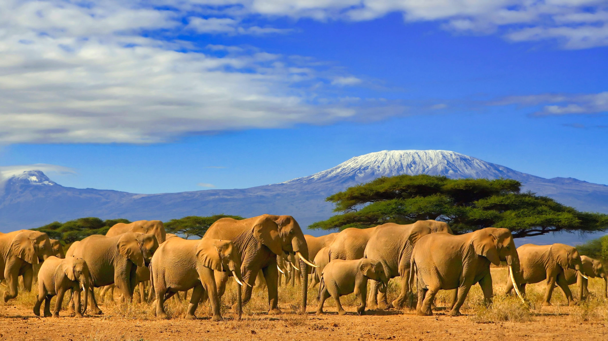 Tarangire National Park