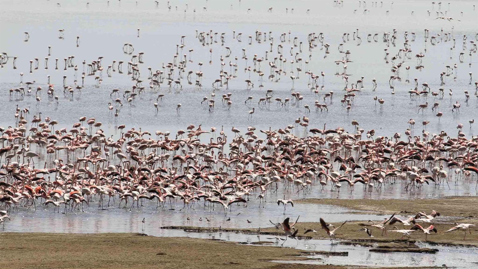 Tarangire National Park