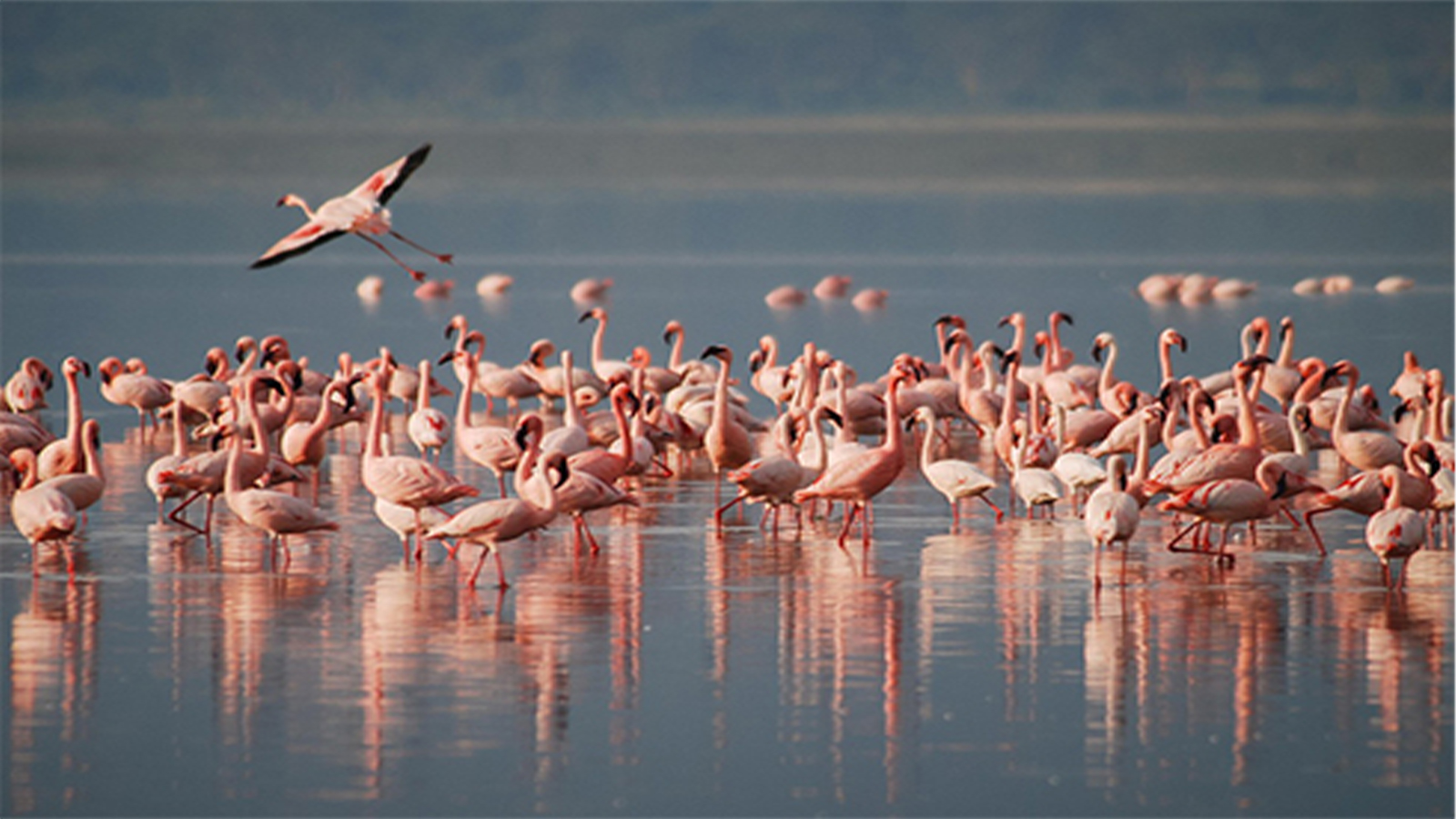 Tarangire National Park