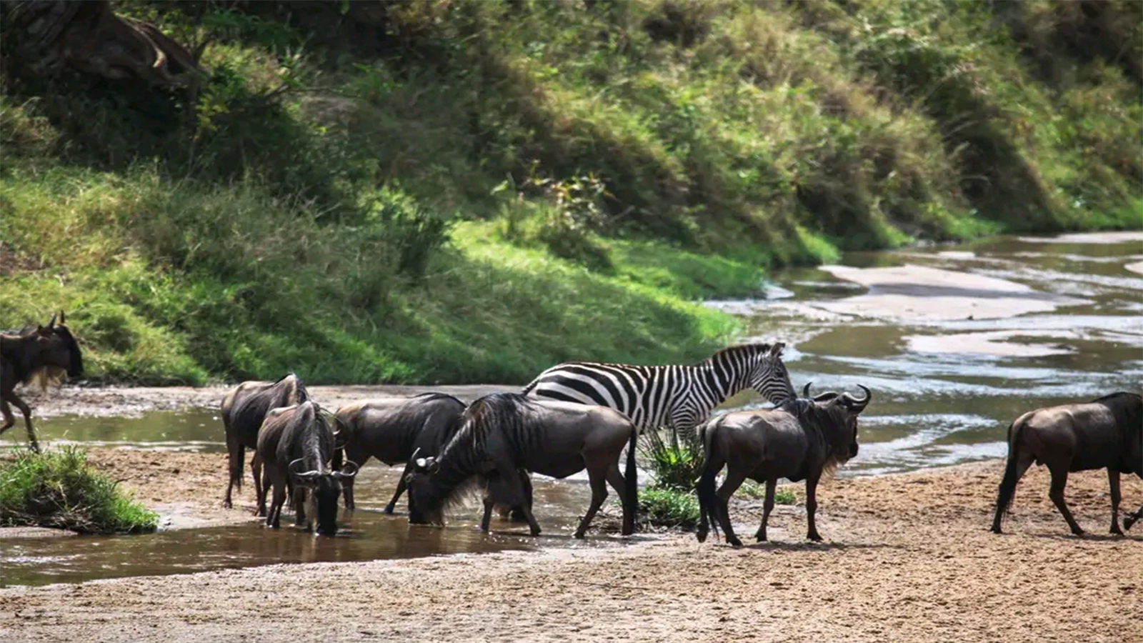 Tarangire National Park