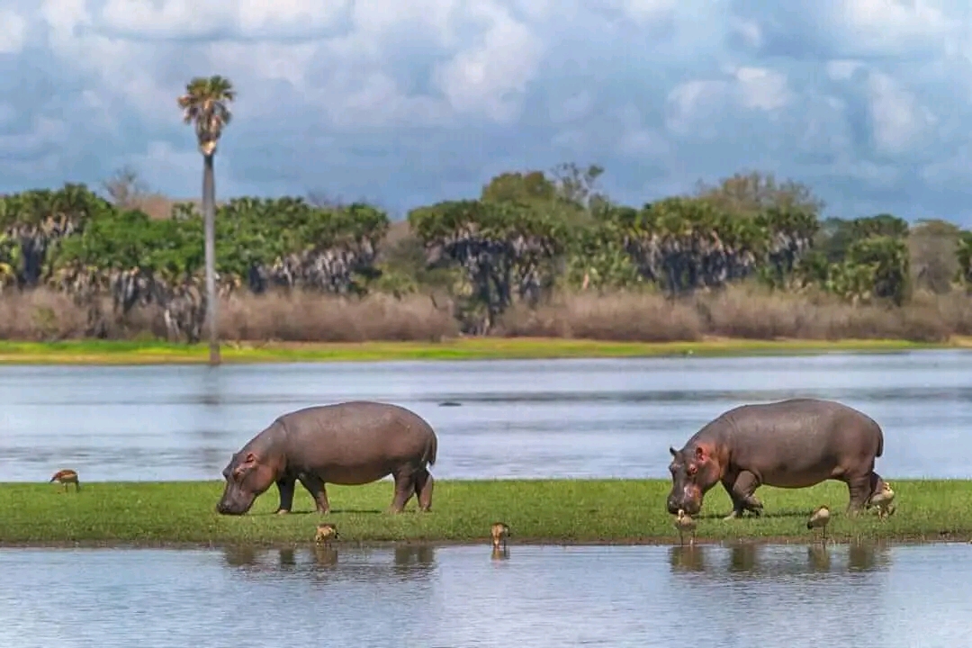 Tarangire National Park