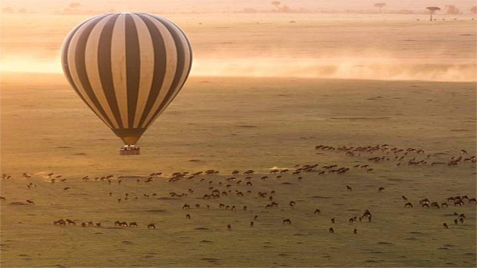 Tarangire National Park