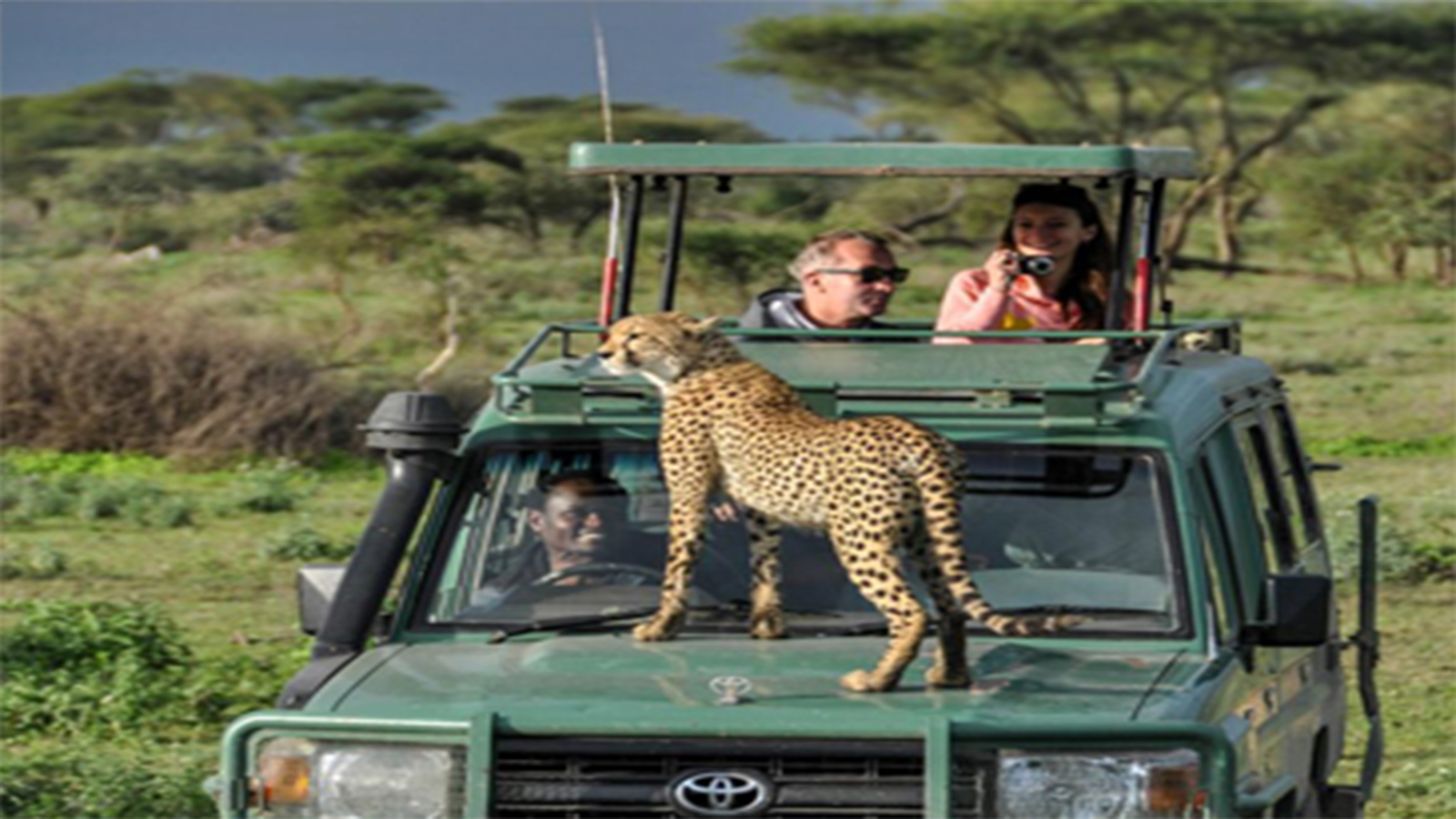 Tarangire National Park