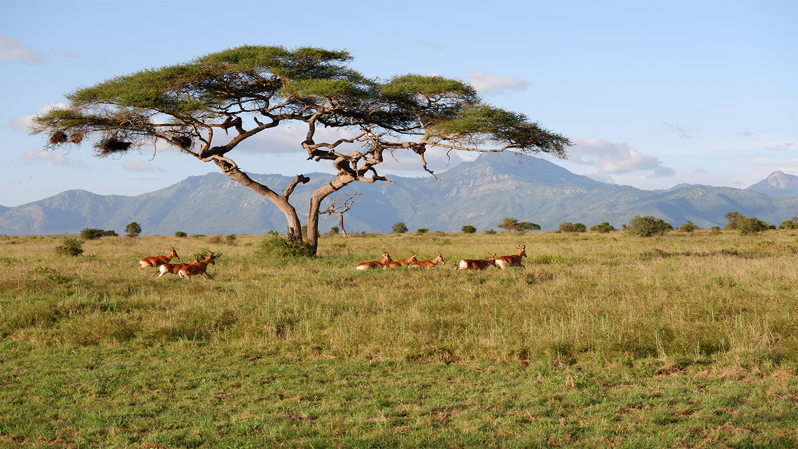 Tarangire National Park