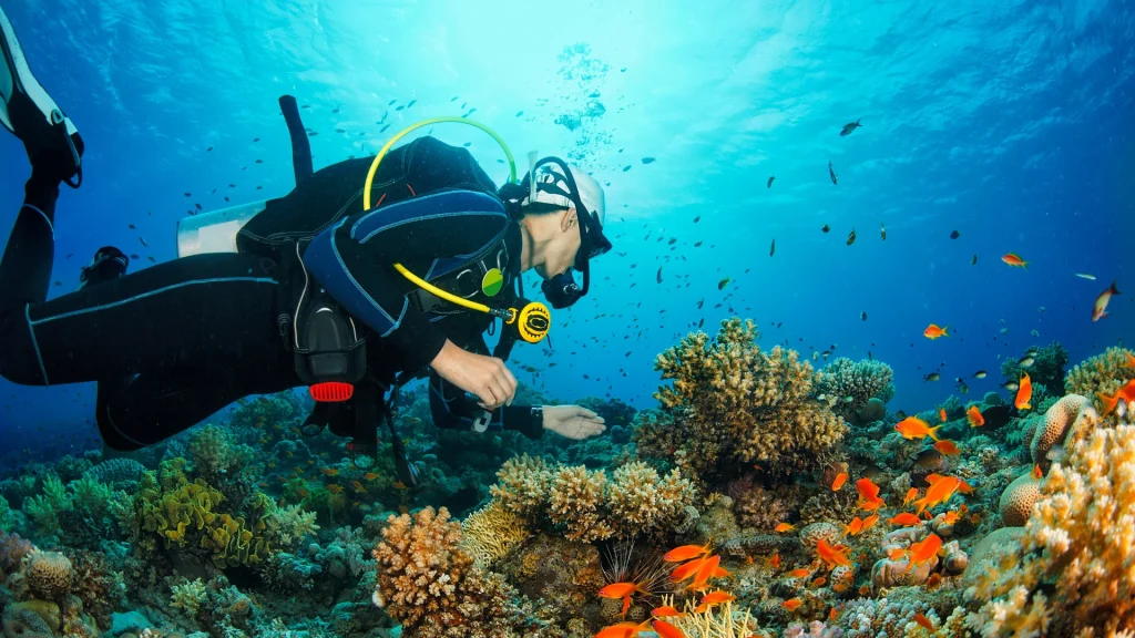Scuba Diving Tour zanzibar
