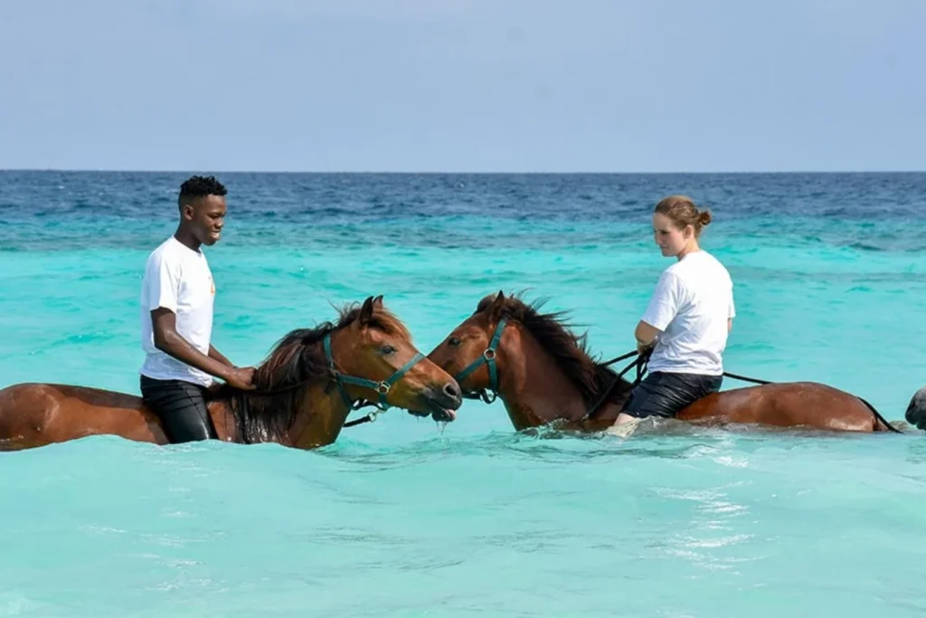 horse riding 1