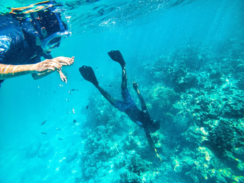 scuba diving 4
