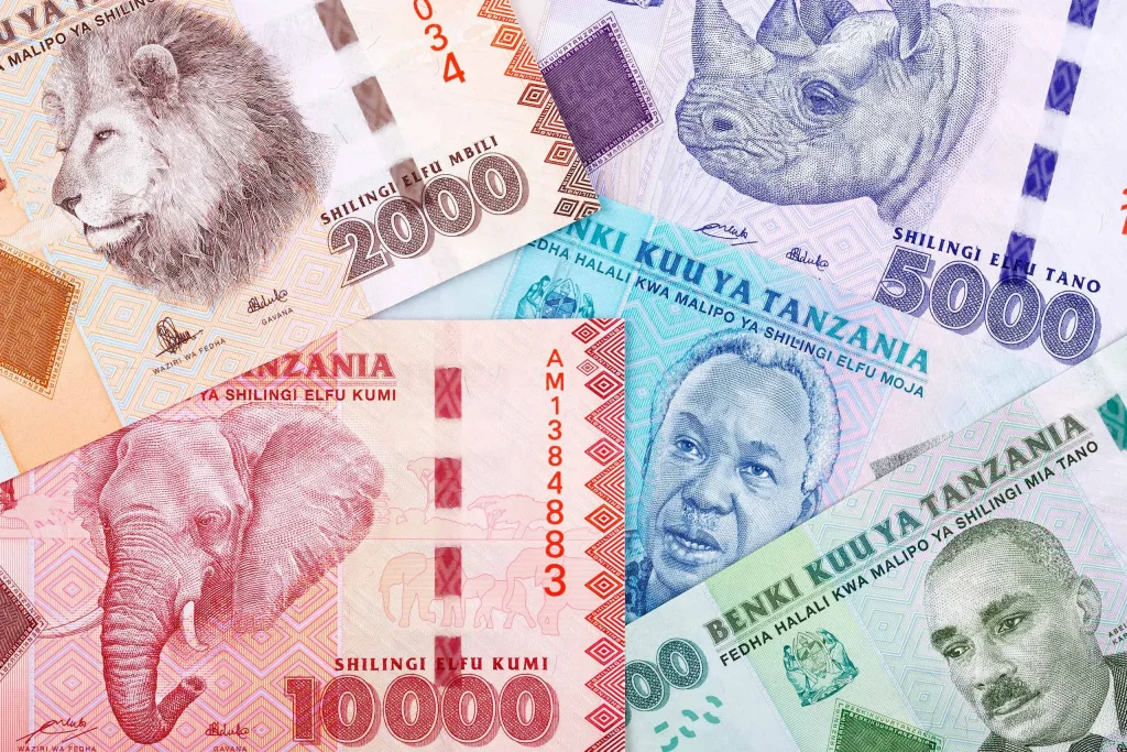 Zanzibar currency