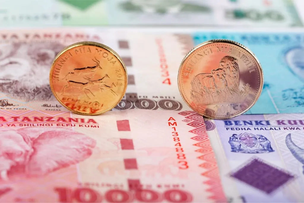 y55ocw8djkao08g8e7zwye1l71tvs3u7